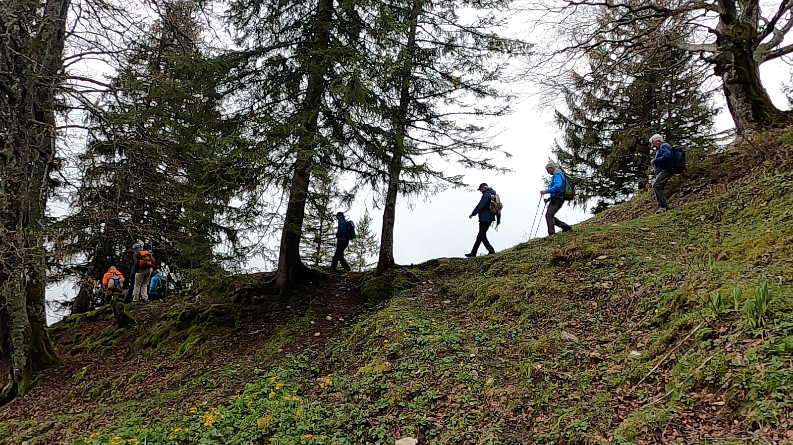22_22. Mai 21_G Wanderung Grenchenberg (107).png